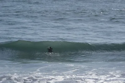 DSC_6923 (Large).JPG